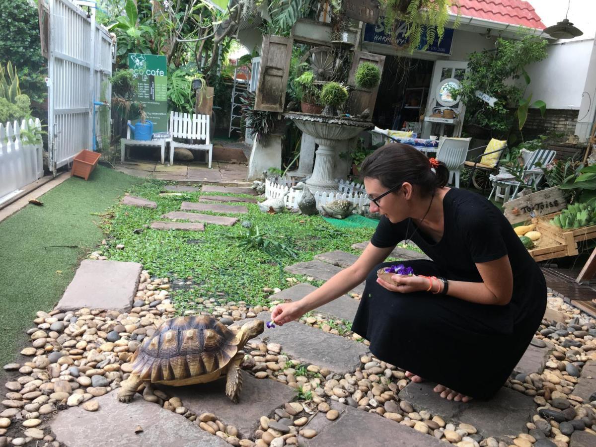 Sea Harmony Eco Lodge Hua Hin Luaran gambar